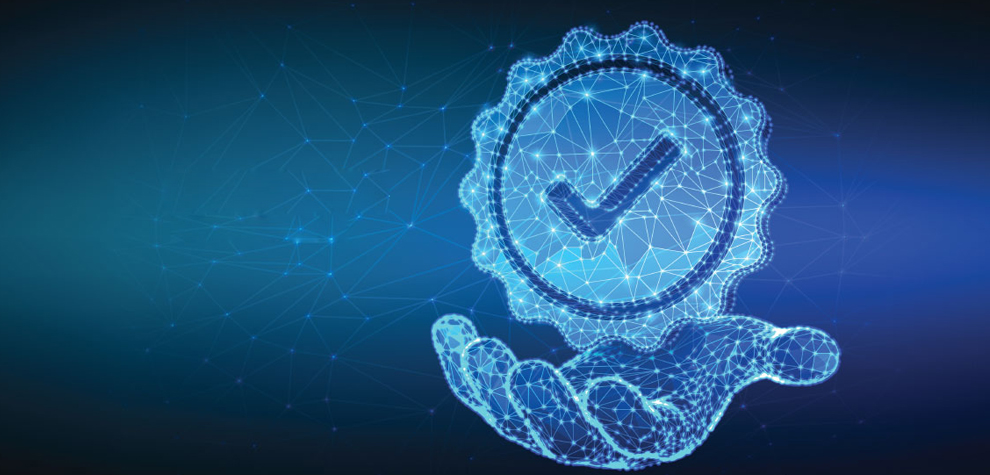 سياسة الجودة